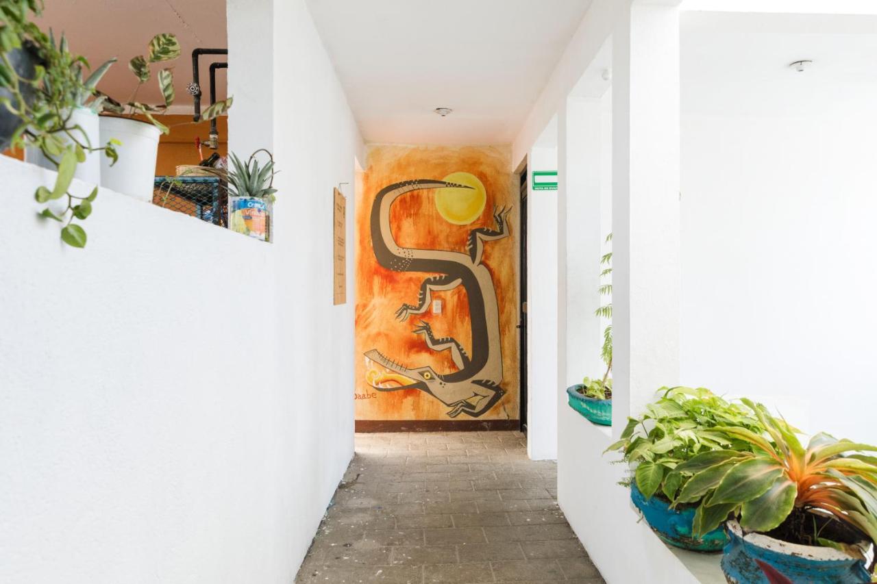 Residencia Artistica Vandrerhjem Puerto Escondido  Eksteriør bilde